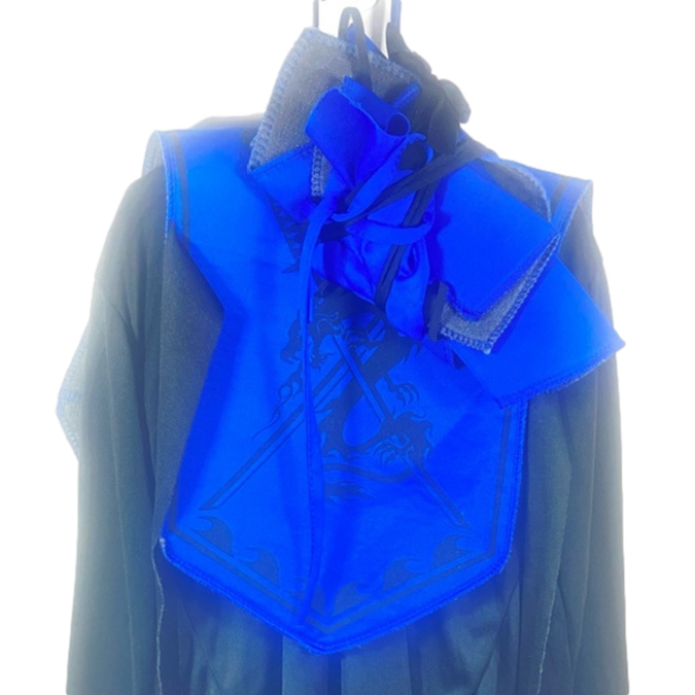 Blue Ninja Costume